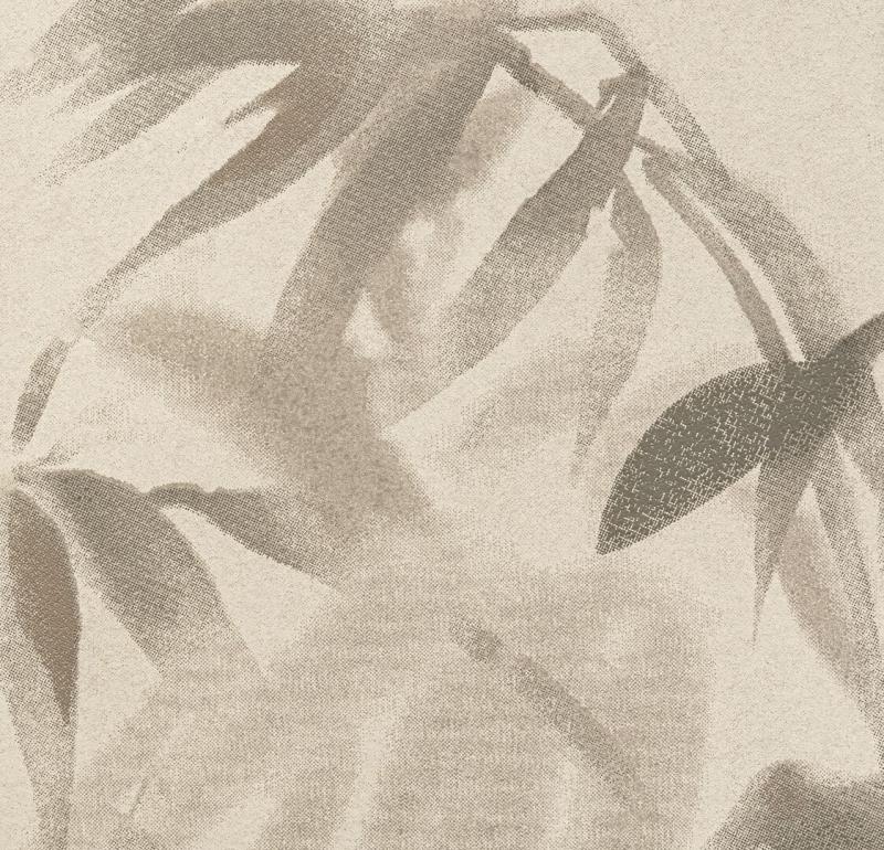 Обои Bernardo Bartalucci Legend 5069-3