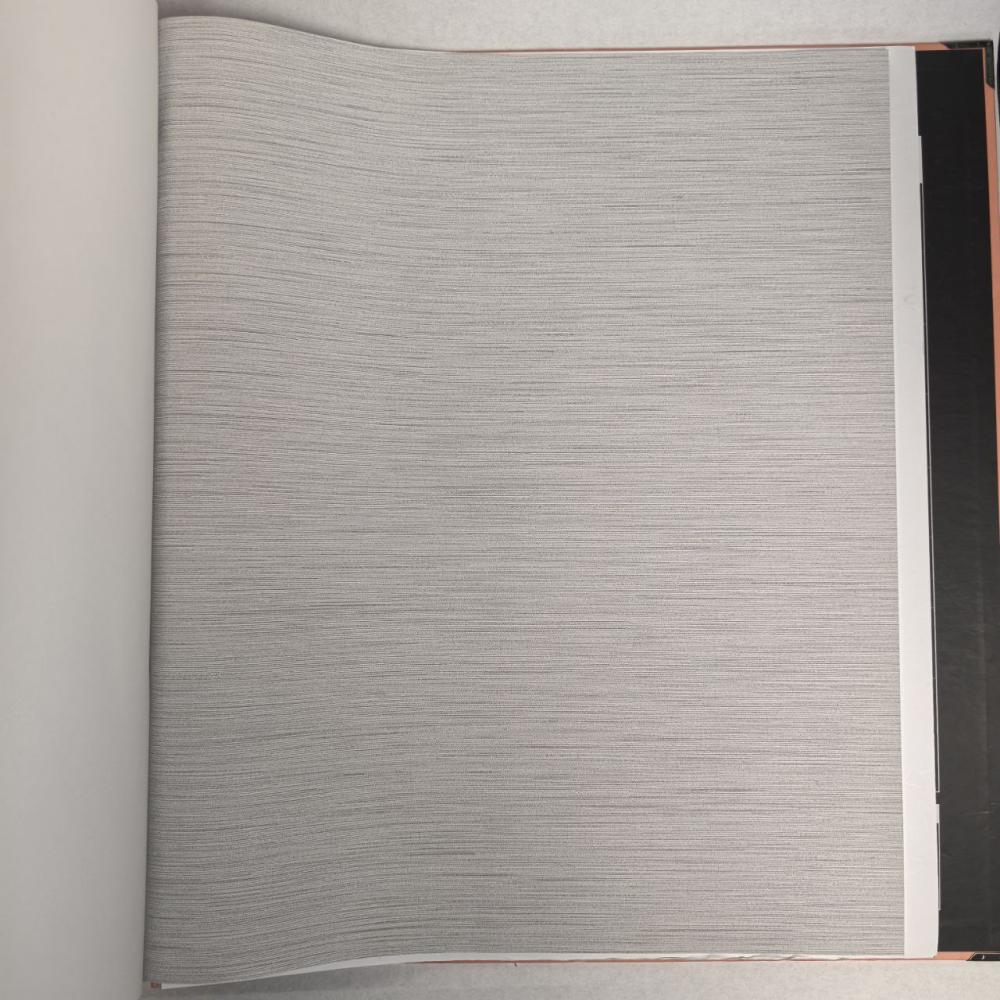 Andrea Rossi Berggi 54438-10