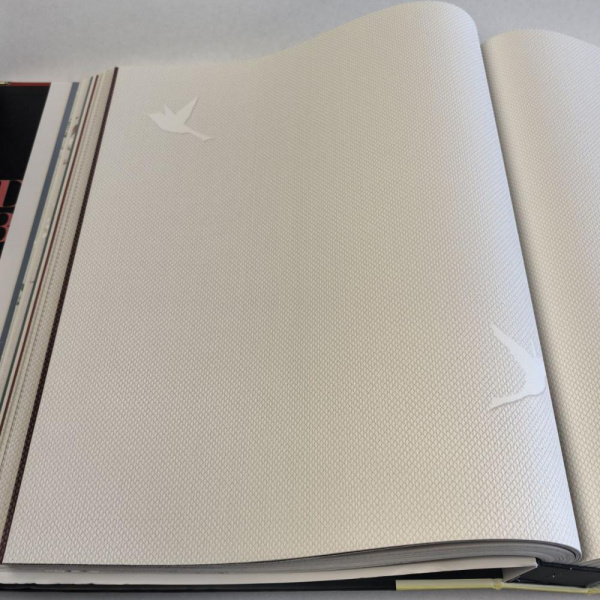 Andrea Rossi Spectrum Box 54458-1