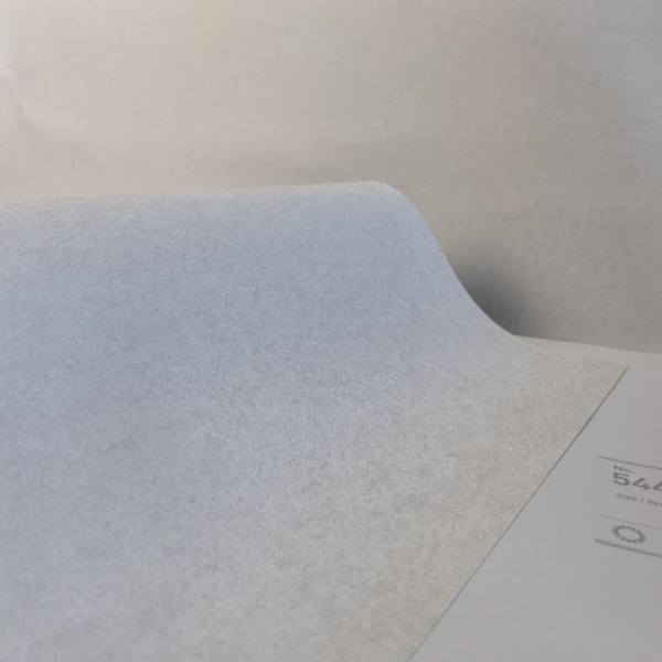 Andrea Rossi Cavolli 54422-3