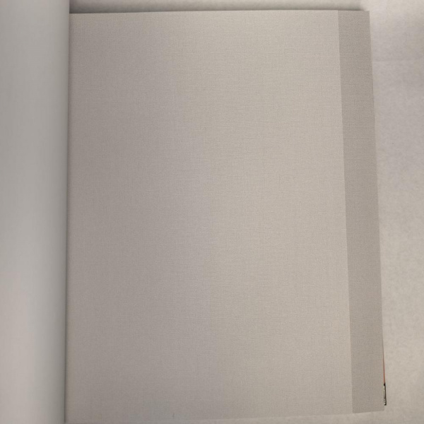 Andrea Rossi Berggi 54448-2