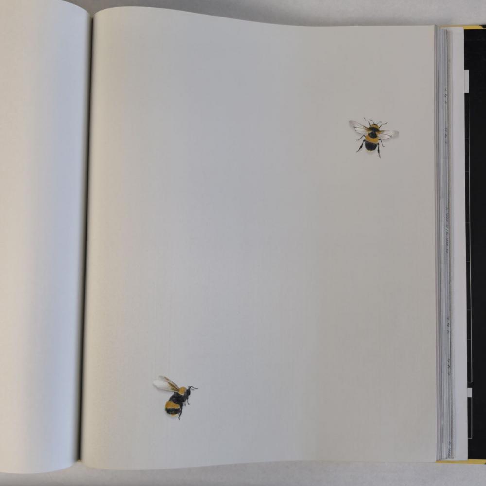 Andrea Rossi Cavolli 54419-2