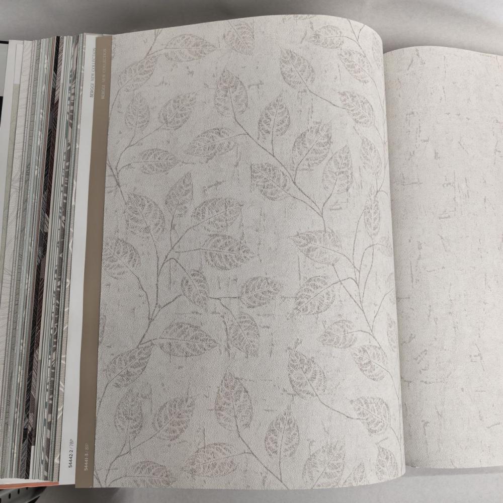 Andrea Rossi Berggi 54441-3