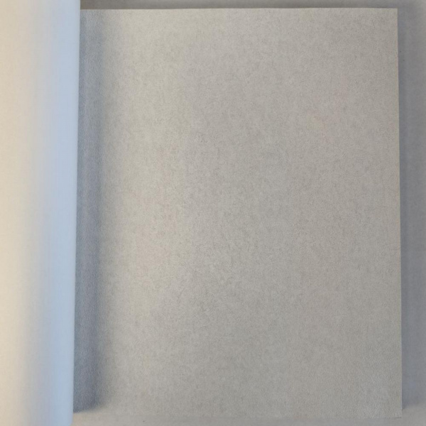 Andrea Rossi Cavolli 54422-3