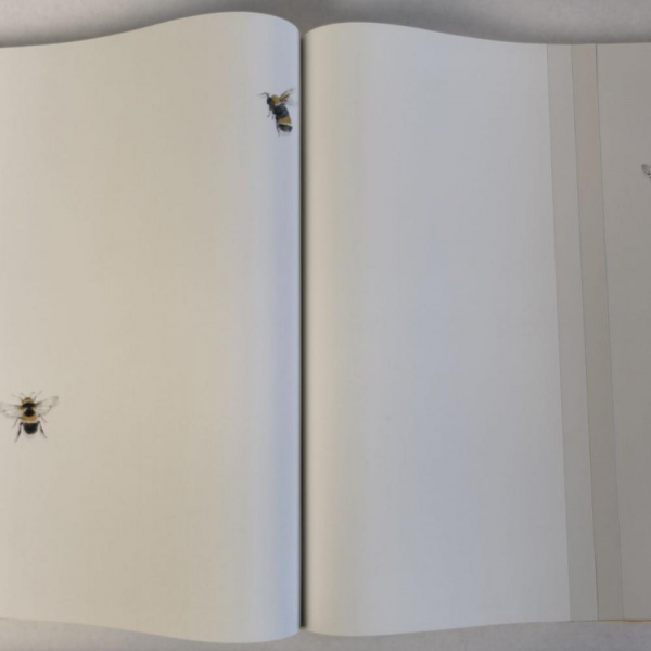 Andrea Rossi Cavolli 54418-1