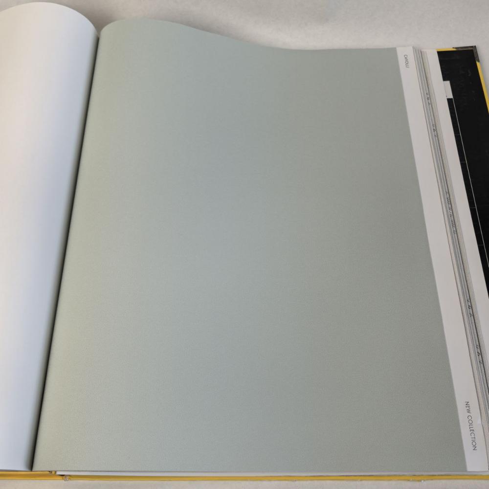 Andrea Rossi Cavolli 54418-11 Andrea Rossi Cavolli 54418-11